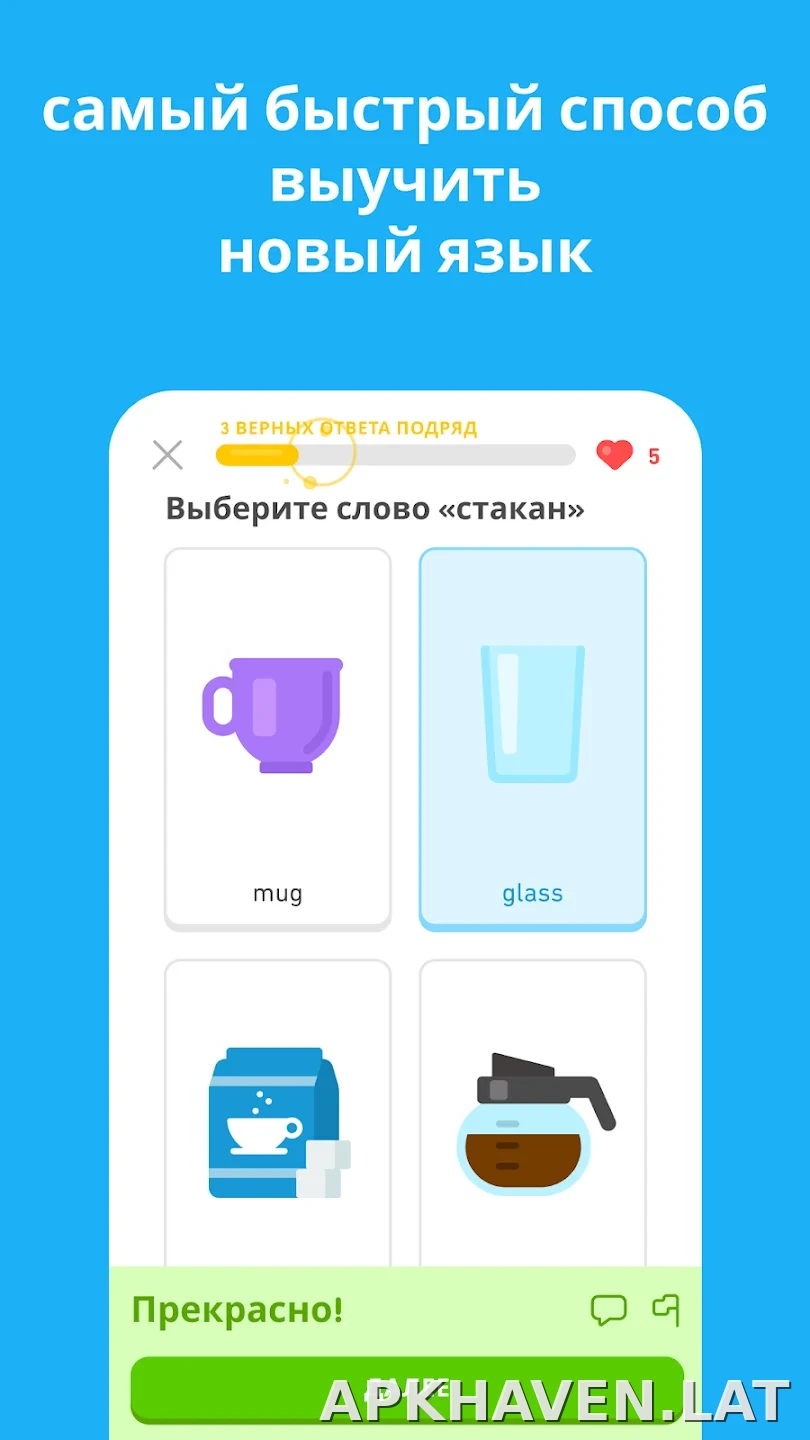 Дуолинго скриншот 5